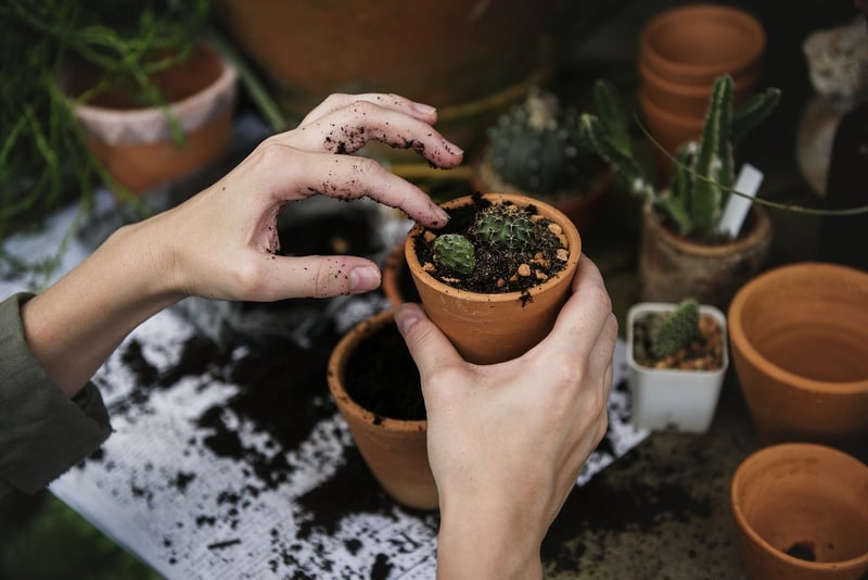 Hanging Planters