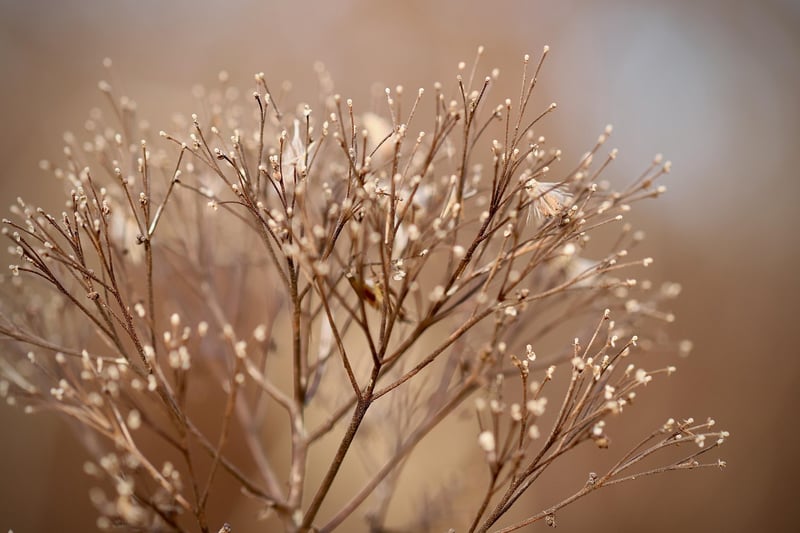 Nurturing Plants