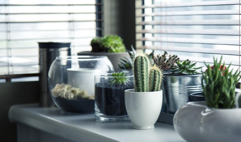 Tiered Plant Stands